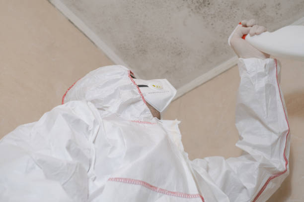 Reliable Alexander City, AL Mold Remediation Solutions